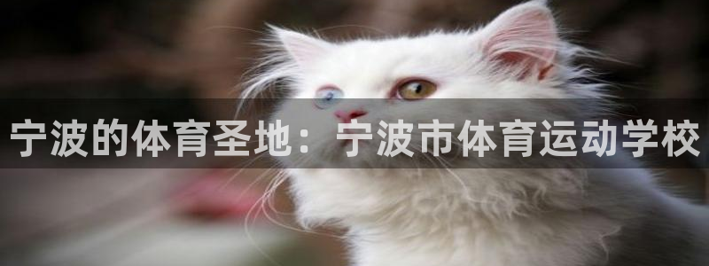 球速体育：宁波的体育圣地：宁波市体育运动学校