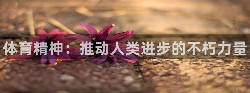 球速体育：体育精神：推动人类进步的不朽力量