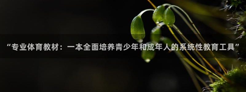 球速体育