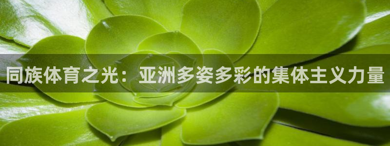 球速体育