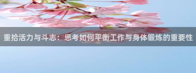 球速体育