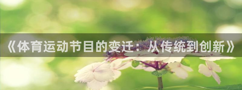 球速体育：《体育运动节目的变迁：从传统到创新》