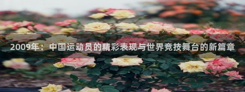 球速体育：2009年：中国运动员的精彩表现与世界竞技舞台的新篇章