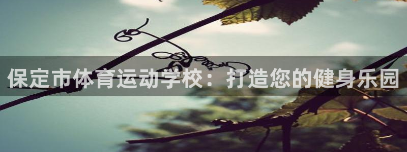 球速体育：保定市体育运动学校：打造您的健身乐园