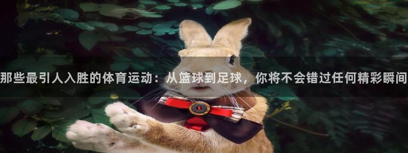 球速体育：那些最引人入胜的体育运动：从篮球到足球，你将不会错过任何精彩瞬间